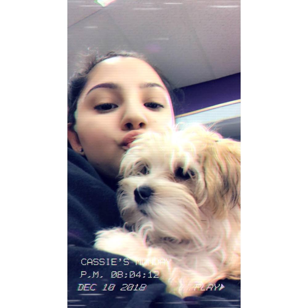 Meet your Posher, Cassandra